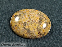 Кабошон окаменелого ракушечника (каури). Погрешность измерения в пределах 0, 5 - 1 мм. Встречаются неровности и выемки кромки.